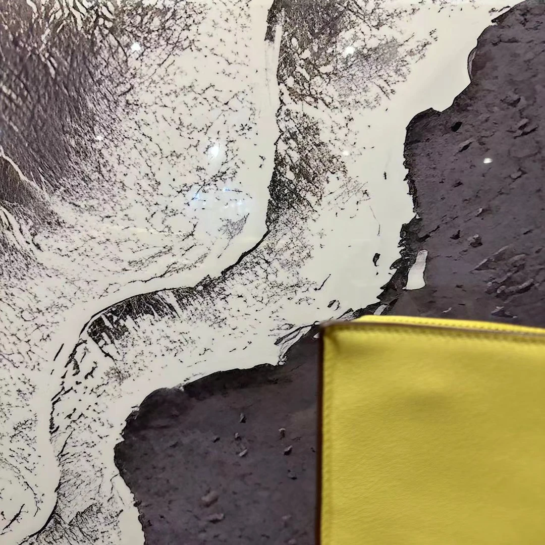 「茶花籽丛」我看谁还没买的dance斜挎包