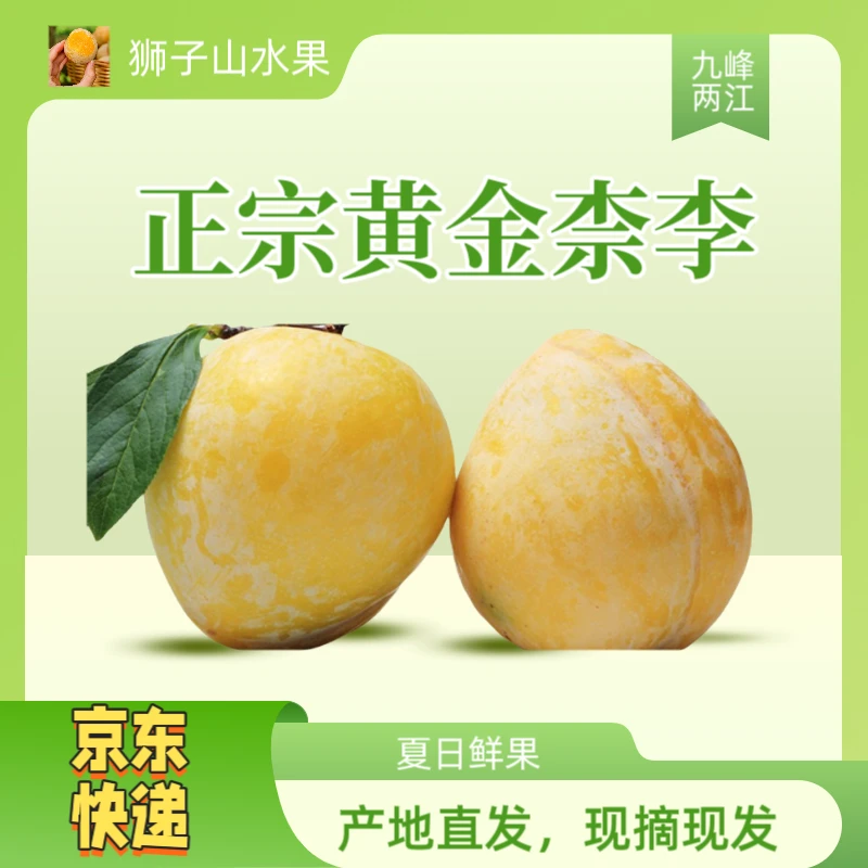 正宗粤北乐昌九峰黄金柰李恐龙蛋当季水果现摘现发3斤-5斤-10斤装
