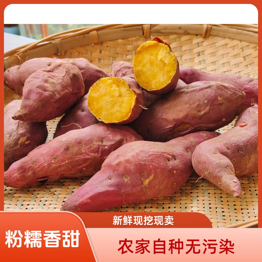 试吃】云南正宗板栗红薯粉面干甜新鲜现挖农家自种