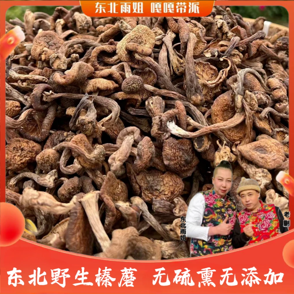 【雨姐专属】东北农家自然晾晒东北特产榛蘑小鸡炖蘑菇500克包邮