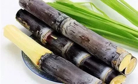 广西甘蔗带皮一根
