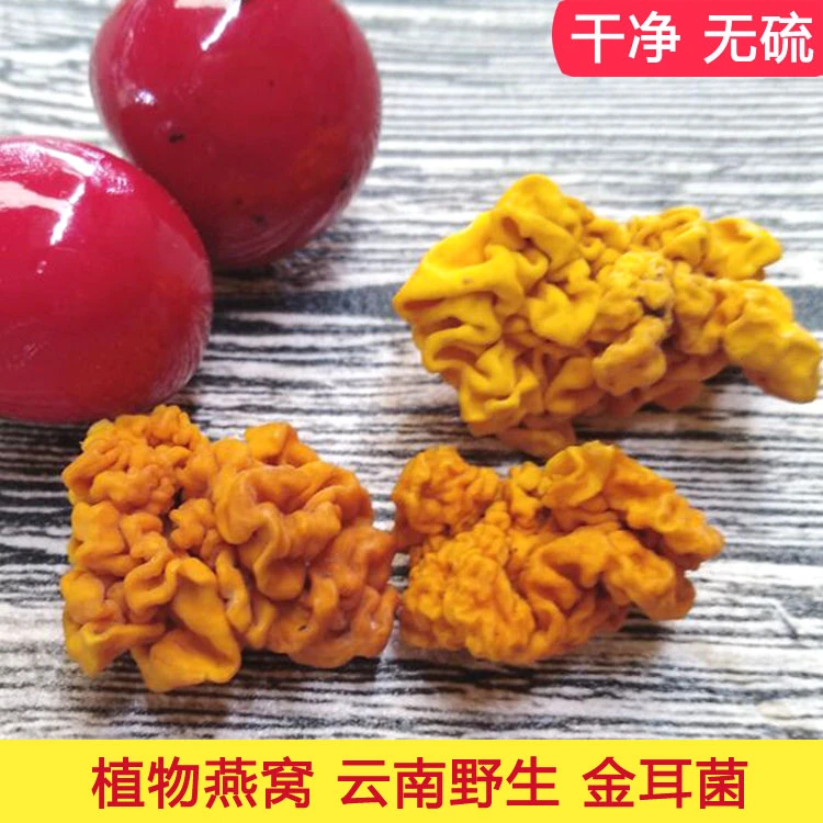 修剪无硫云南野生金耳100克西藏正宗黄木耳金耳菌干货非银耳包邮