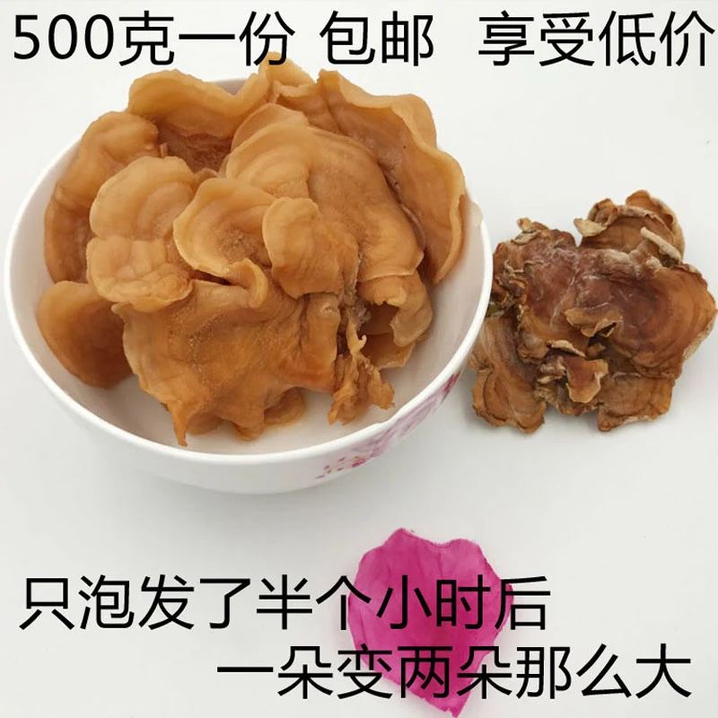 云南特产野生榆耳菌灵芝菌干货木耳羊肚耳蘑菇野生菌500克包邮