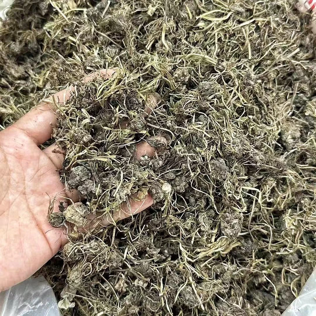 【阿强】苗爪草煲汤料