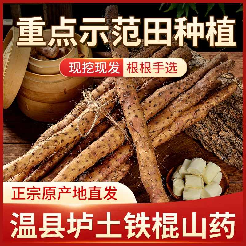 温县志存】铁棍山药新鲜怀山药原产地温县垆土地种植3 5斤京东直邮