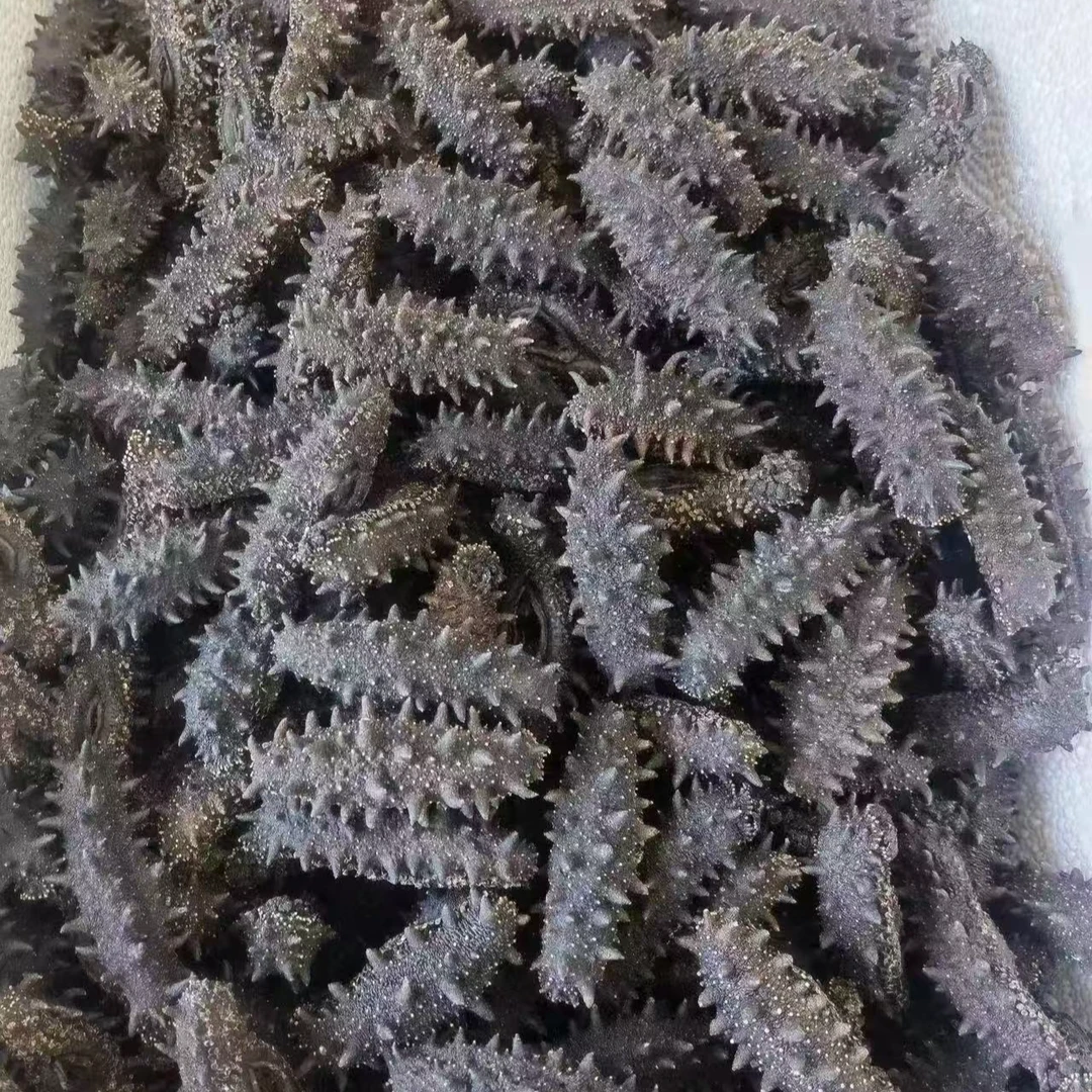 [顺丰空运]150头俄罗斯进口纯淡干海参原货足干二红高泡发16-20倍