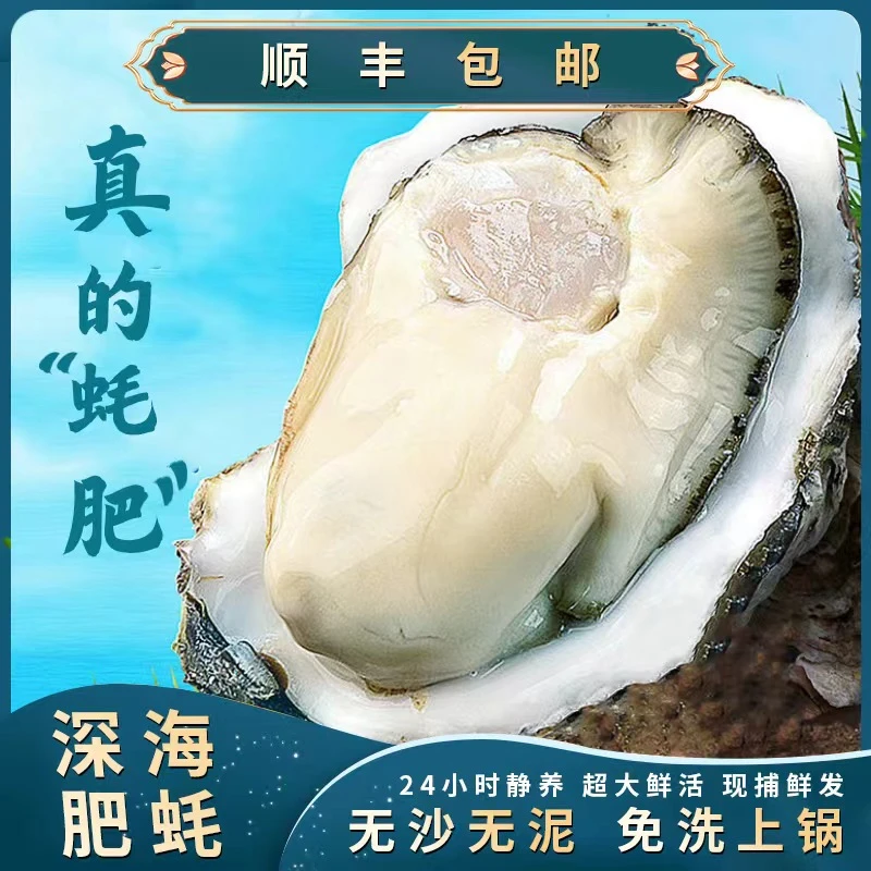 【鲜活发货】乳山生蚝鲜活海鲜刺身正宗生腌特级产地直发牡蛎顺丰