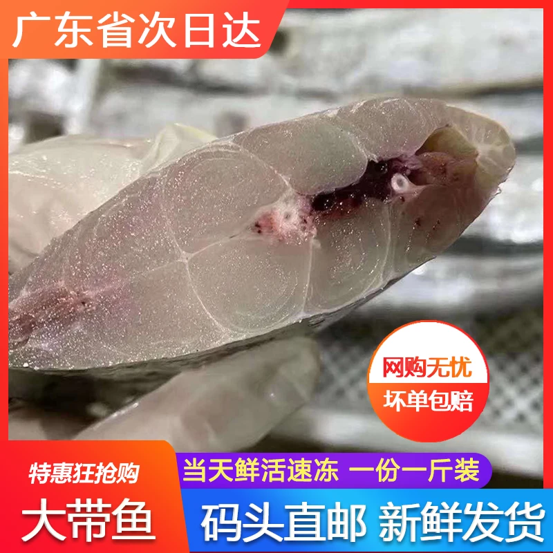 野生带鱼段新鲜鲜活冷冻小黄眼带鱼整条中段特级特大深海海鲜水产