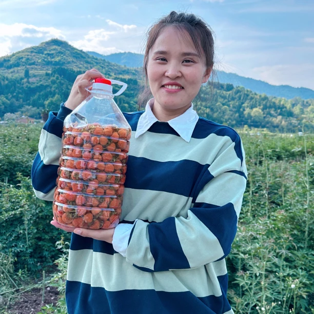 当季采摘新鲜红果覆盆子泡酒专用