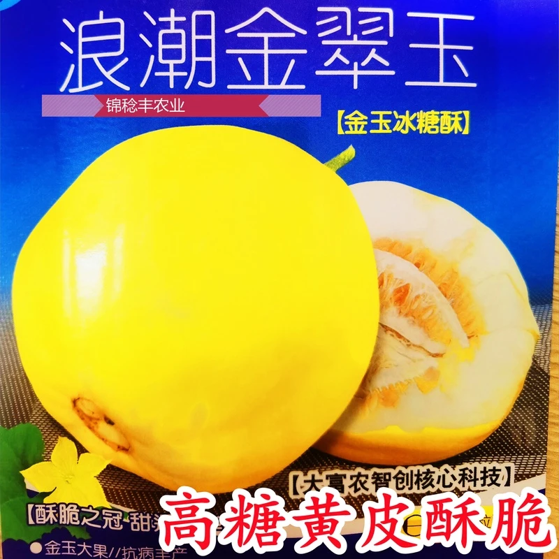 大黄冰糖脆甜瓜种子种籽孑特甜黄薄皮香瓜星甜金翠玉冰糖酥种子