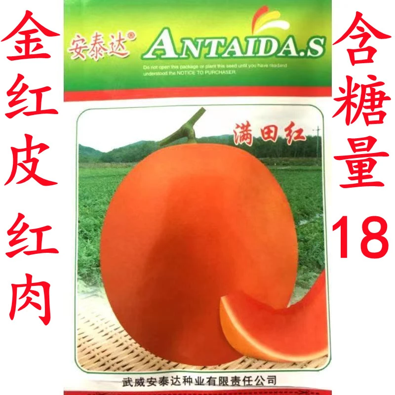 黄河蜜瓜满田红伊丽莎白甜瓜种子红皮红肉薄皮早熟香瓜哈密瓜种孑