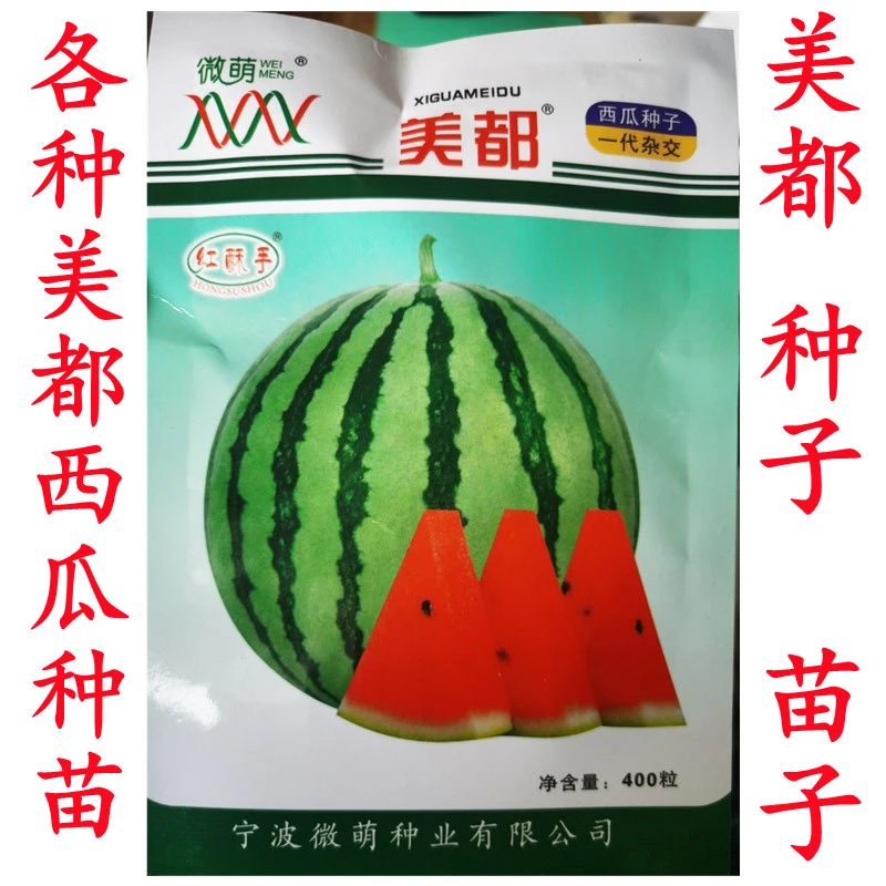 金美都西瓜种子耐裂超甜美都礼品西瓜种籽麒麟瓜8424水果蔬菜种孑