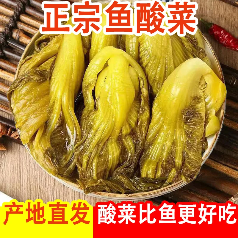 四川特色泡酸菜400g鱼酸菜老坛腌制酸菜酸菜鱼专用泡菜袋装下饭菜