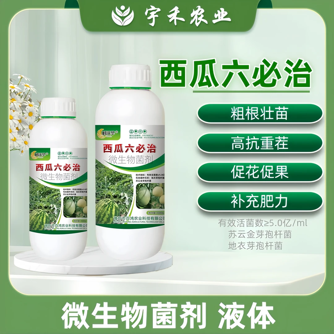 西瓜六必治香甜瓜哈密瓜防黄叶死苗枯萎蔓枯青枯微生物菌剂叶面肥