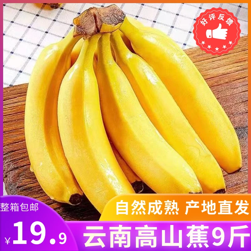 19.9元净重9斤云南高山蕉天然新鲜自然成熟饱满果香