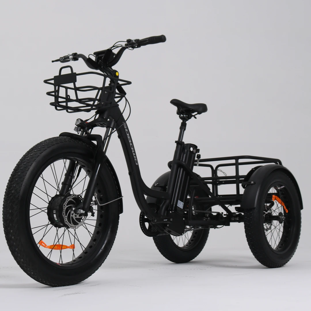 小棕熊休闲旅行锻炼身体三轮车