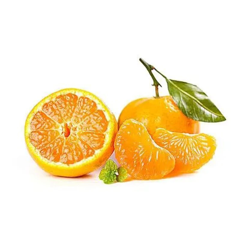 新鲜蜜桔（一公斤） 1kg/份