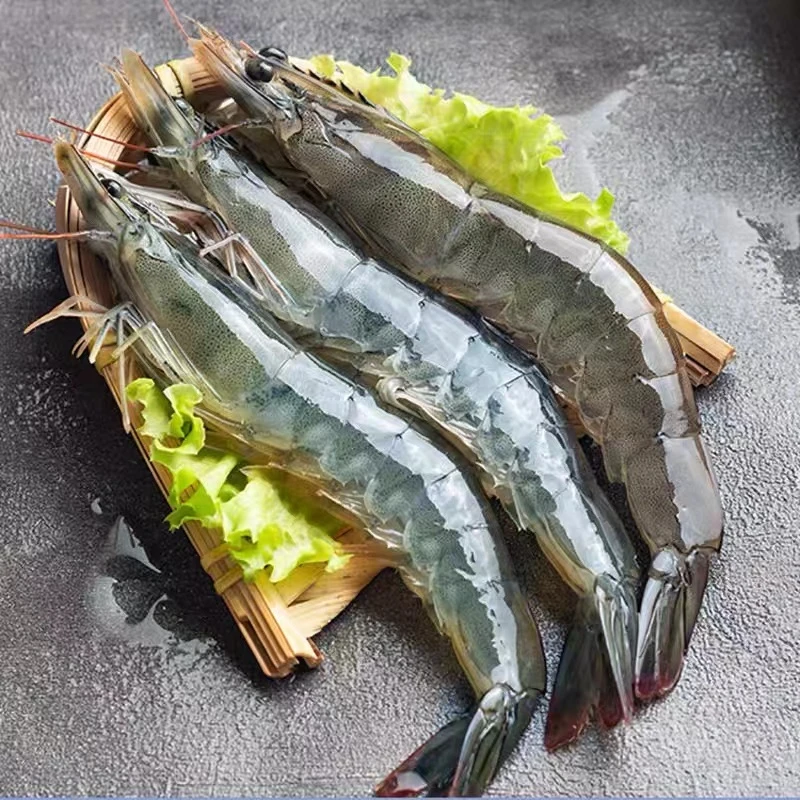 3040大虾海洋大虾速冻海鲜营养白虾食用海虾3040规格 3斤