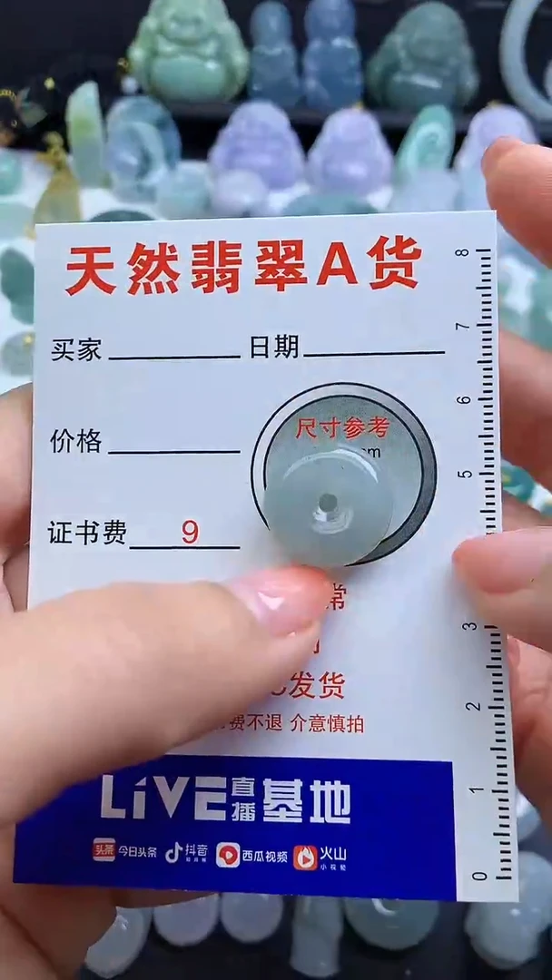 【闪购商品】翡翠颈饰未镶嵌1