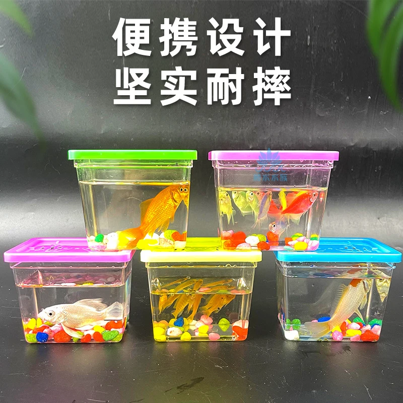 斗鱼杯家用透明塑料鱼缸乌龟盒儿童手提玩具宠物盒夜市摆摊爆款