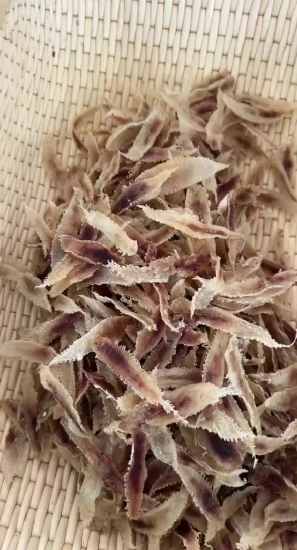 125g青岛鳘鱼鳔(鱼胶干货煲汤东海鳘胶)