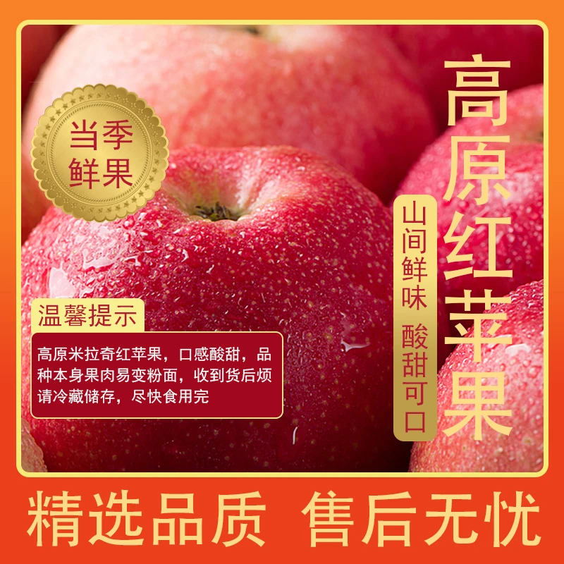 昭通米奇拉高山红苹果2024年头茬新果产地直发香甜脆多汁