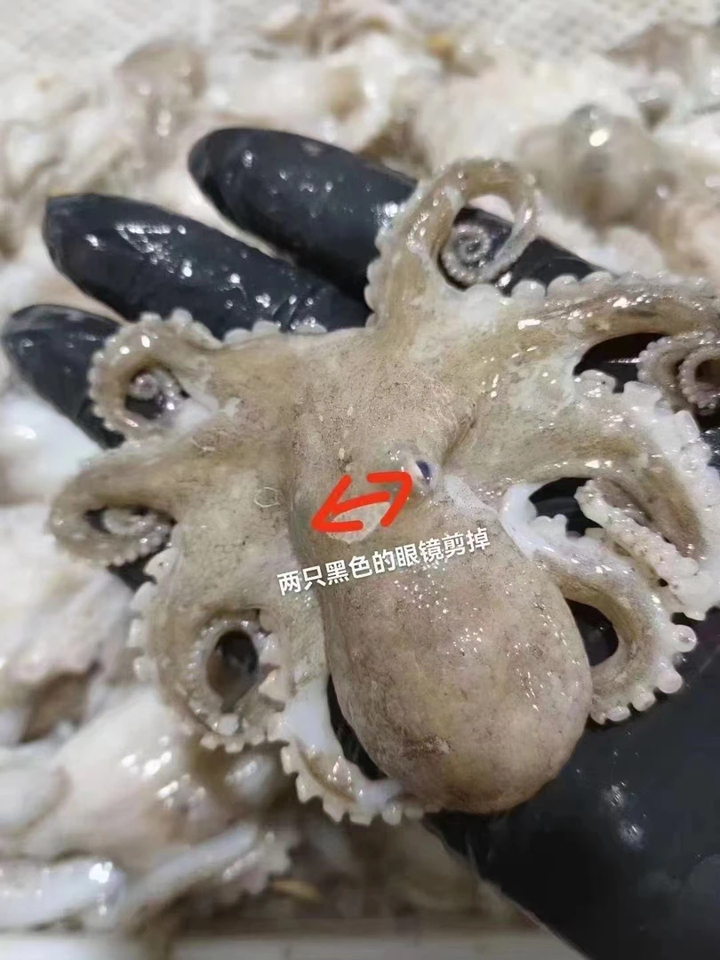 鲜品短腿八爪鱼、