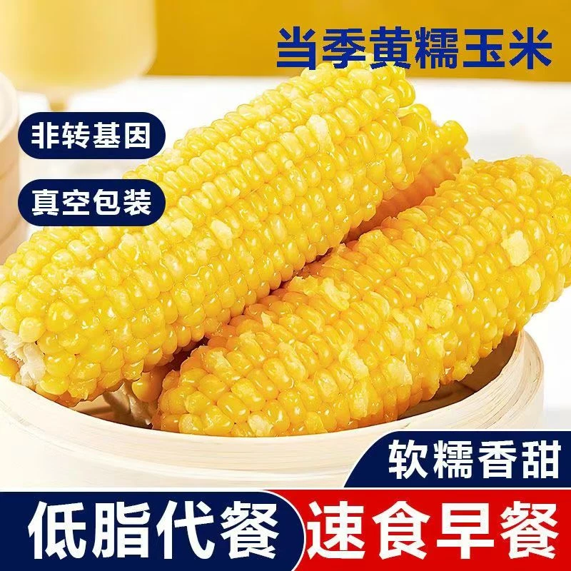 精选黄玉米10根8根5斤】东北黄糯玉米棒新鲜代餐糯玉米真空包装粗