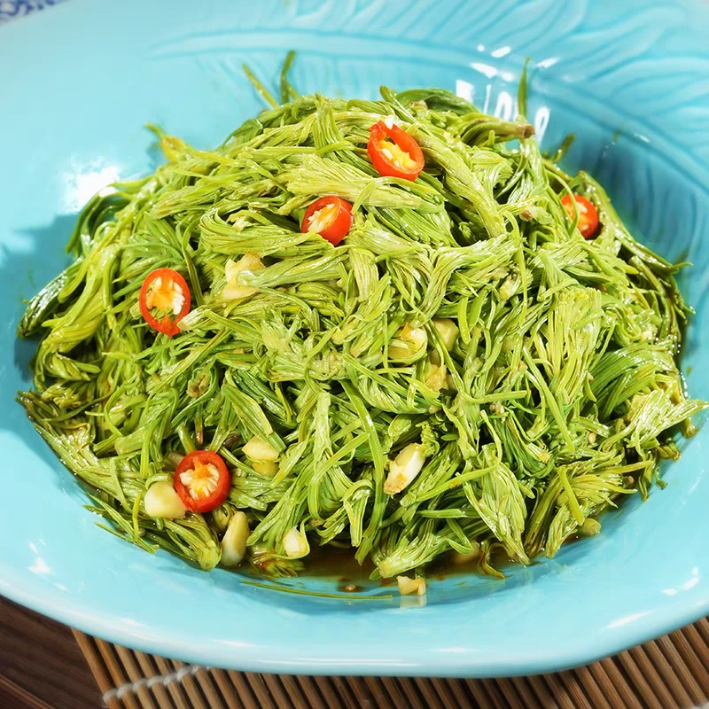 水泡沙松尖山林野菜云南食用保鲜野菜松尖1000g野菜炒鸡蛋凉拌