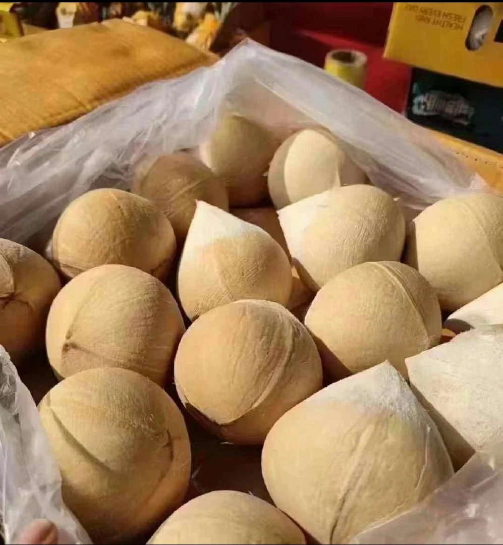 泰国椰子老树椰皇6个装