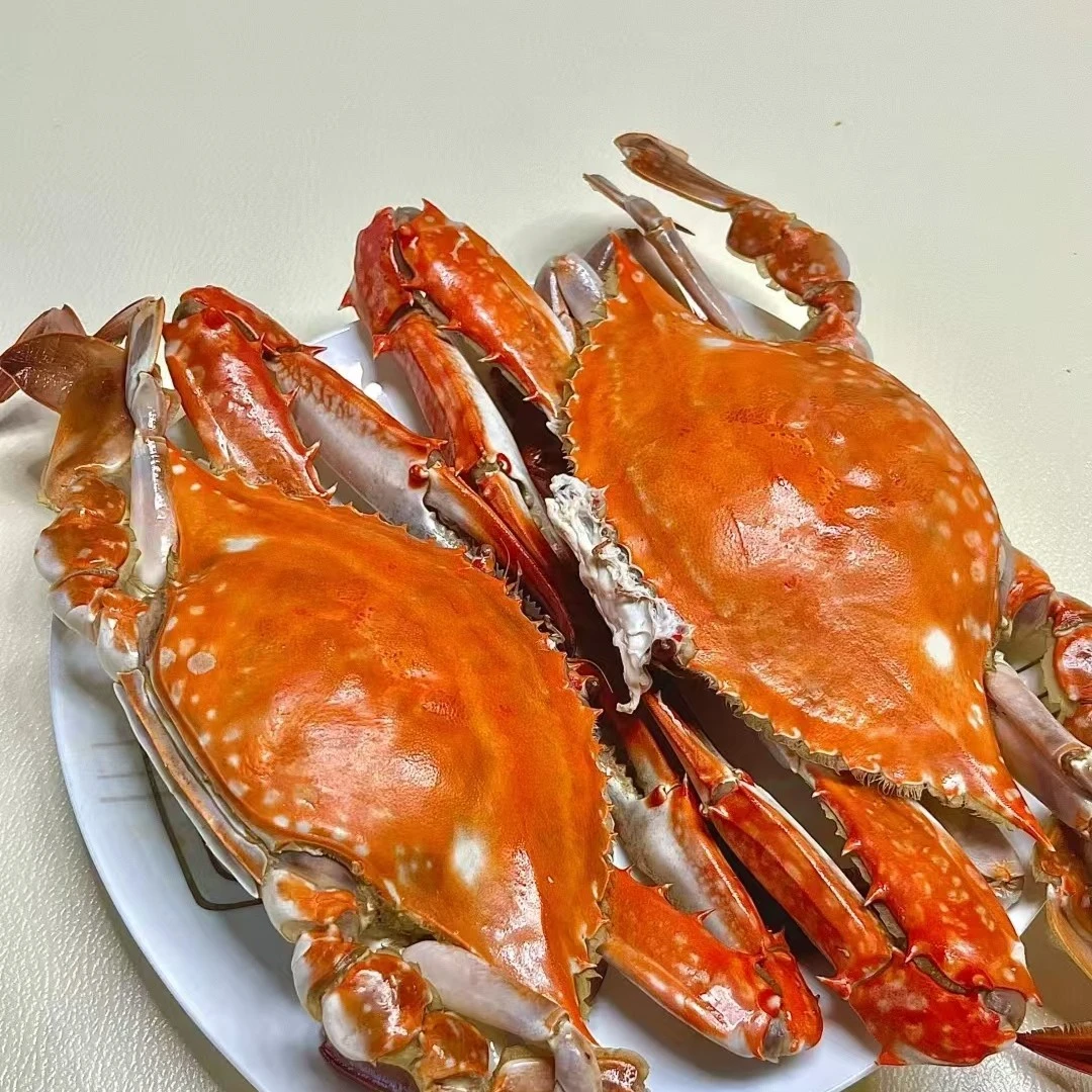 【梭子蟹3斤 海蛎子2斤 扇贝2斤】家庭套餐