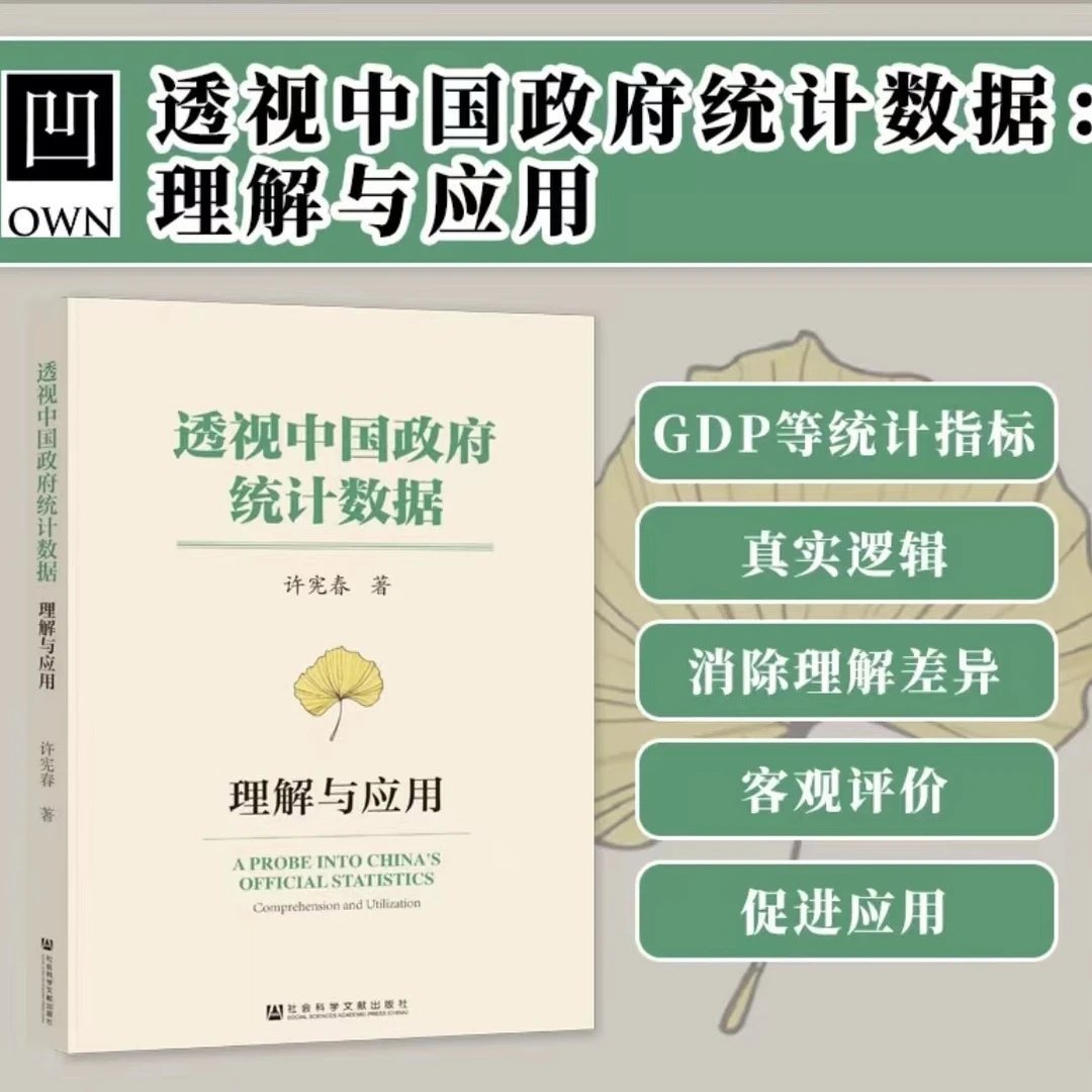 透视中国政府统计数据：理解与应用 社科文献