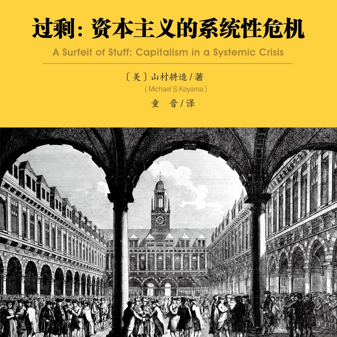 过剩：资本主义的系统性危机