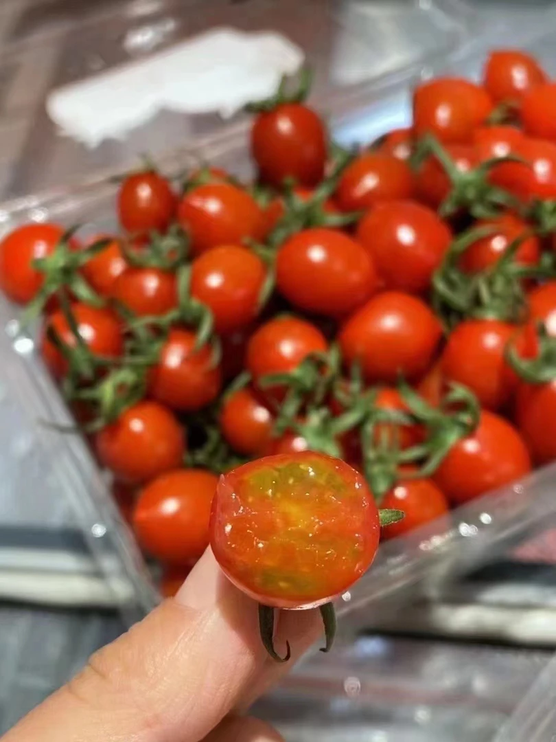 88小柿子1盒2斤装