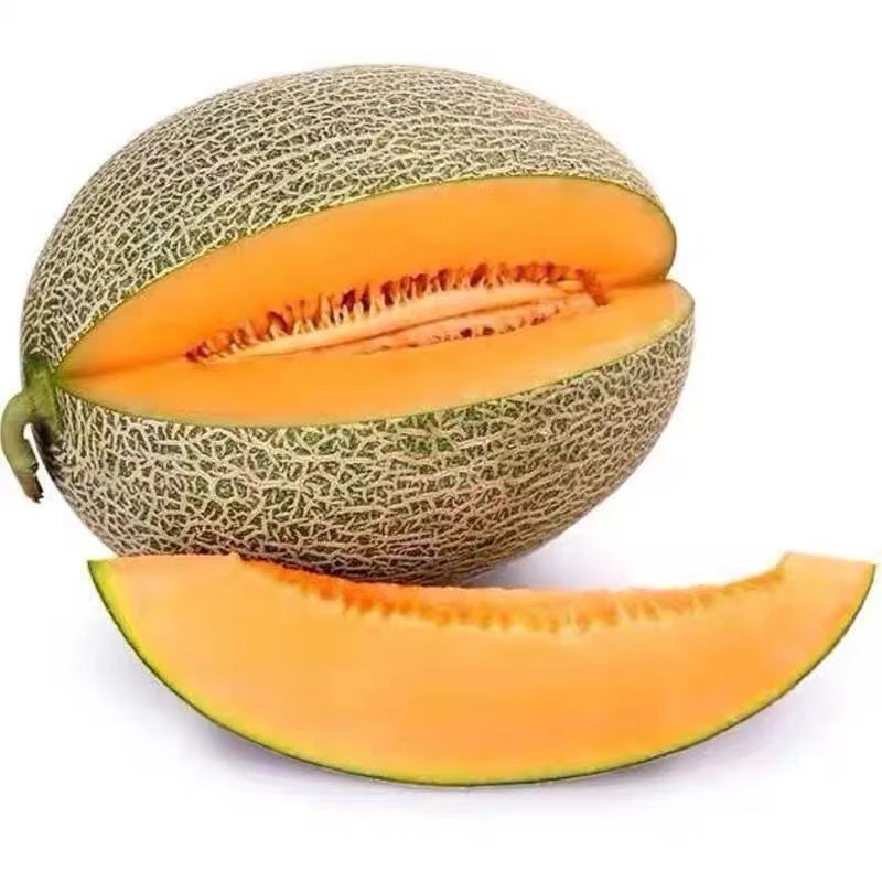 【新疆直发】新疆吐鲁番火焰山西州蜜25号8-9斤装脆甜多汁