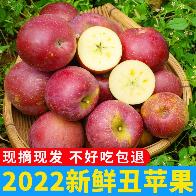 现摘大凉山盐源丑苹果5/10斤带整箱2025年新鲜水果红富士苹果