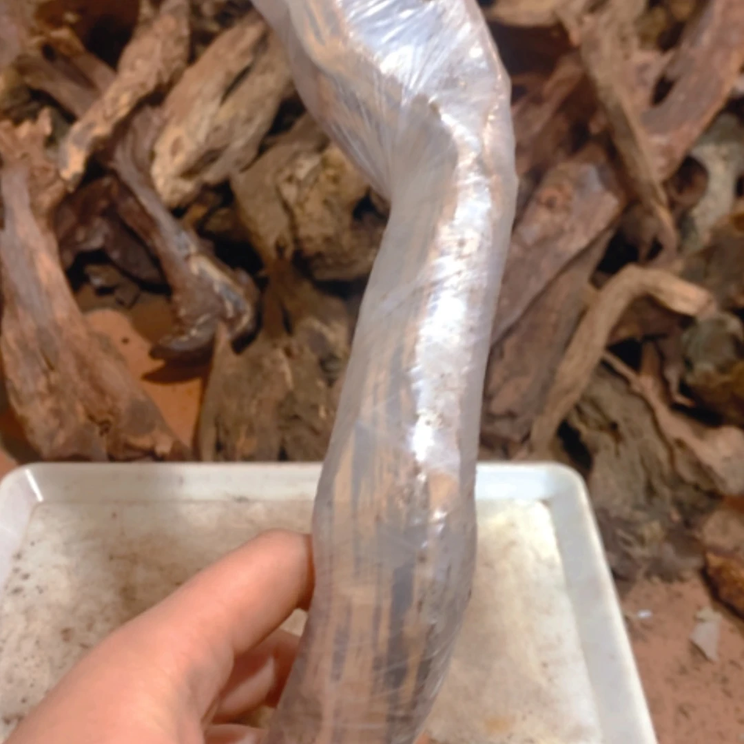 【闪购商品】红贵宝