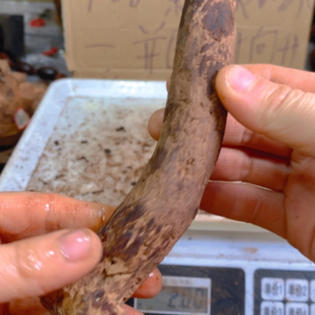 【闪购商品】红贵宝