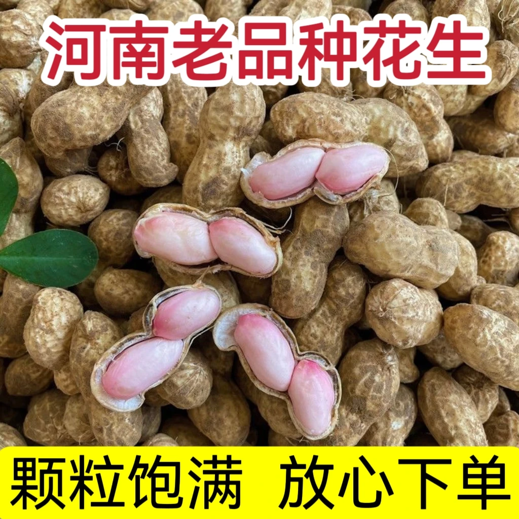 【特价】2024新鲜花生花生粉24现挖当季带泥带壳粉皮现发批发甩卖