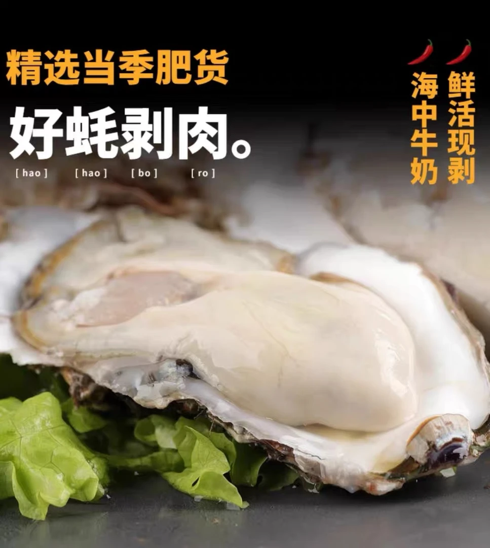 【鲜活生蚝】福建精品鲜活生蚝4~4.5斤（5~10个）（包活包鲜包肥）