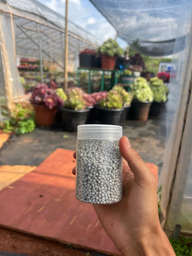 多肉法师锦专用缓释，拍4发5