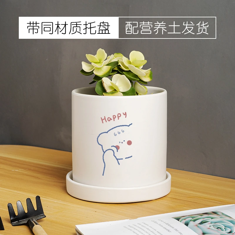 室内轻奢家用可爱创意多肉绿植盆栽蝴蝶兰陶瓷花盆营养土带托盘
