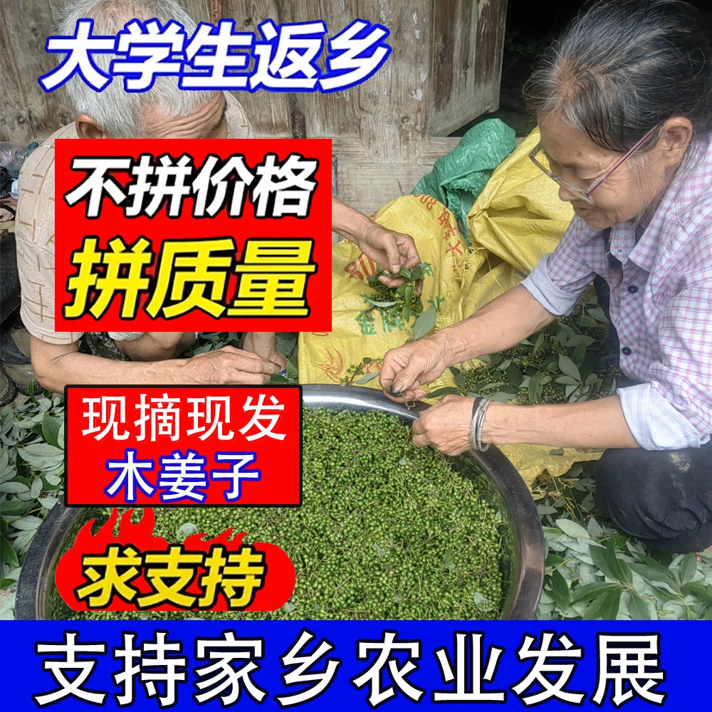 丹听 贵州新鲜木姜子嫩姜子鲜货木姜子山胡椒带杆木姜子调料包邮