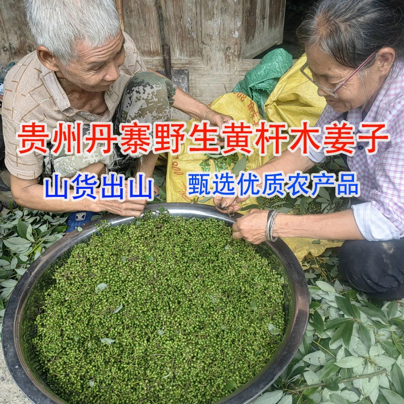 丹听 贵州新鲜木姜子丹寨黄杆木姜子山仓子凯里酸汤配料山胡椒500
