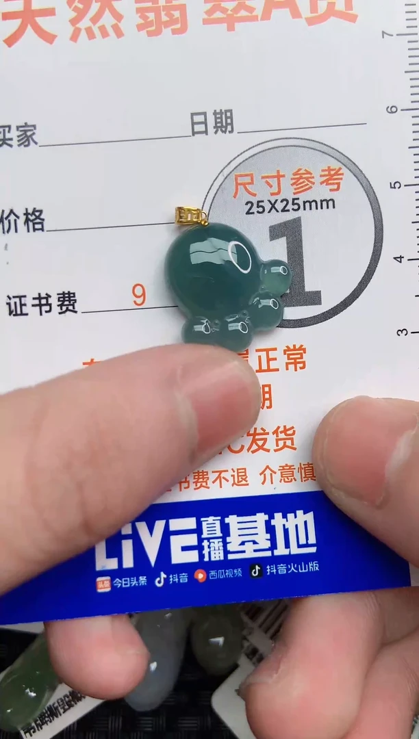 【闪购商品】翡翠颈饰18K金镶嵌浅念***