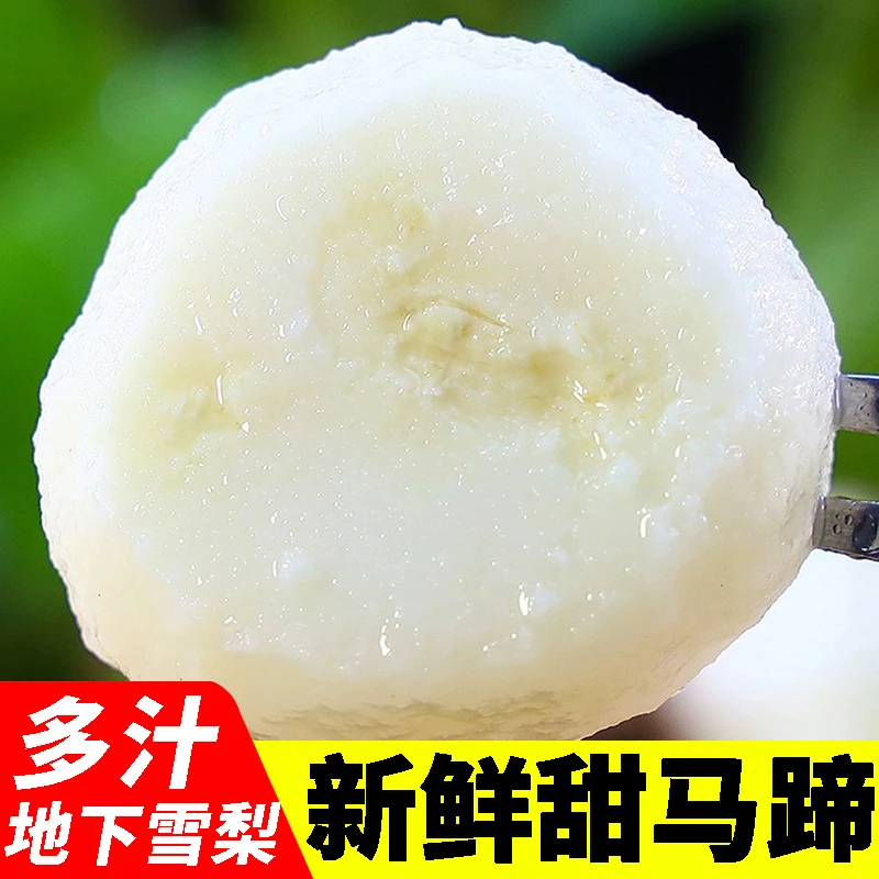 【带皮】广西桂林荸荠马蹄 生鲜蔬菜 新鲜水果精选现挖无渣清脆即食