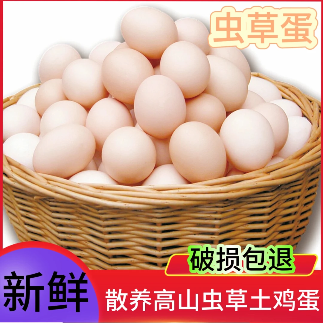 【可生食虫草蛋】农家山林散养鸡蛋可生食鸡蛋新鲜营养土鸡蛋 /10枚