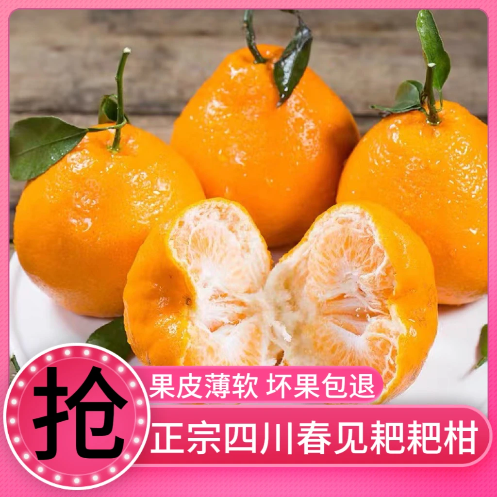无籽耙耙柑柑橘新鲜爆汁多汁爽口细腻产品大果果粒果成熟香甜2斤