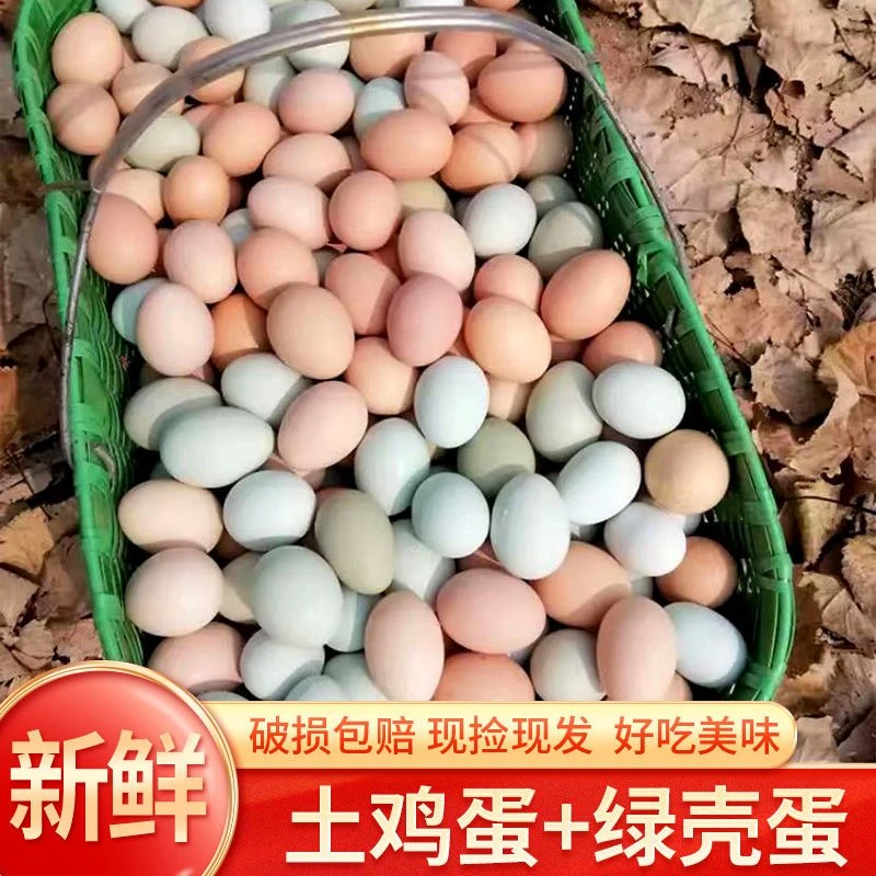 【可选组合混装鸡蛋】农家散养新鲜鸡蛋乌鸡蛋土鸡蛋散养土鸡蛋20枚
