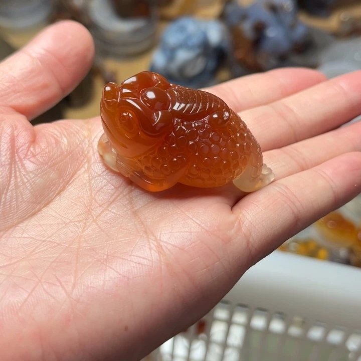 玛瑙/玉髓珠宝奇石未镶嵌*️****